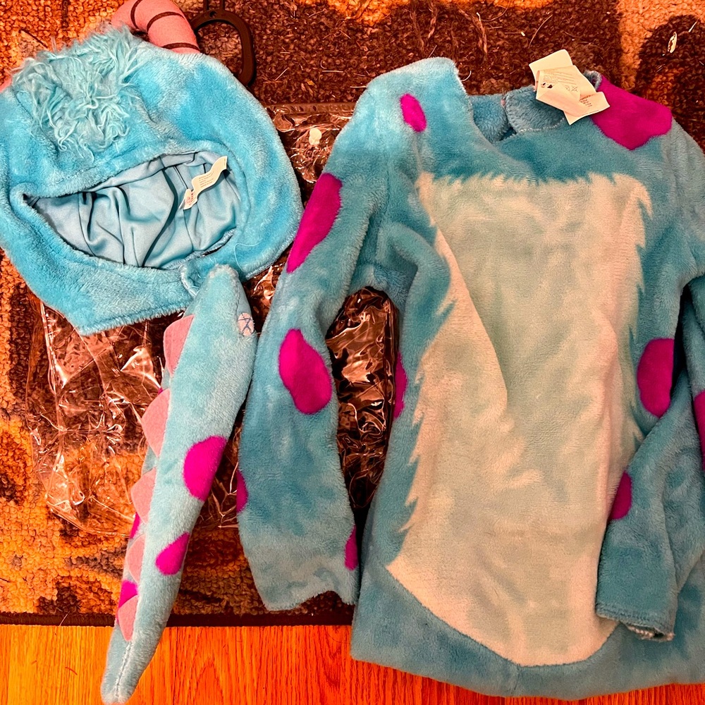 Boys monsters inc costume sully